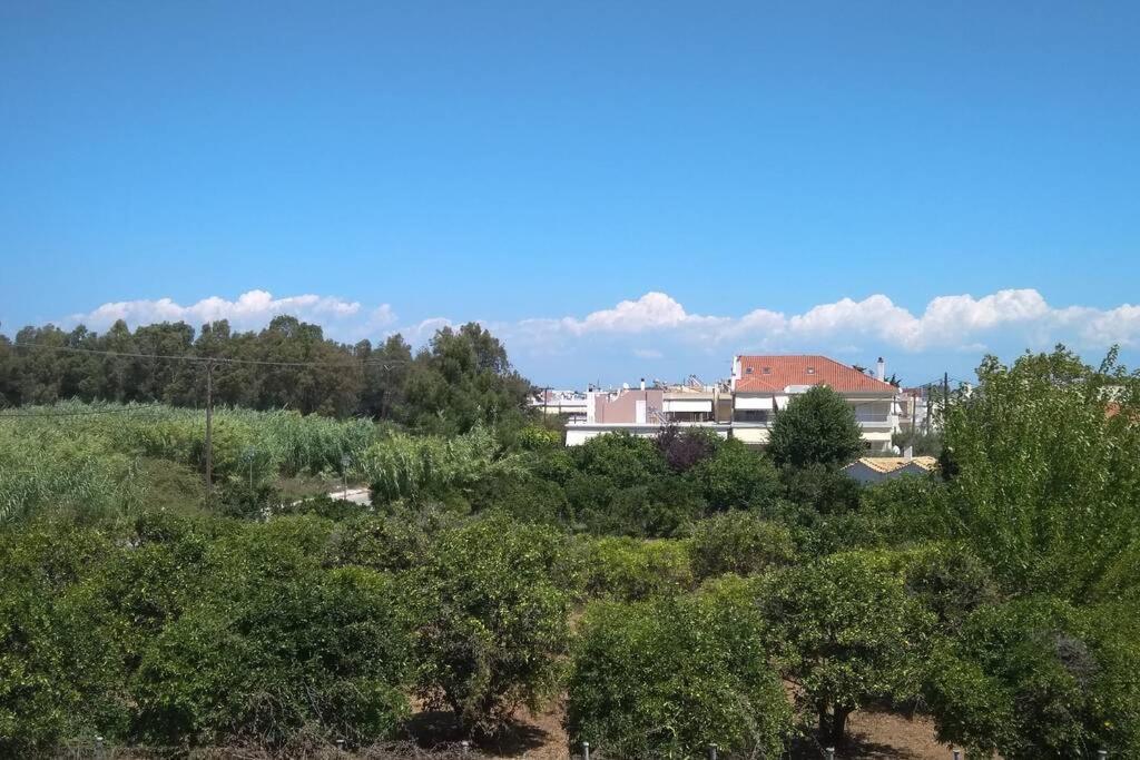 Orange Grove View Apartment Preveza Exterior photo